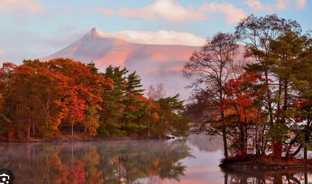 Top or Best Website Design Agencies in Sapporo, Japan