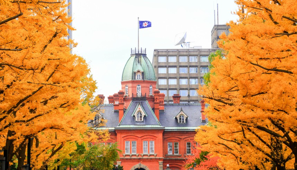 Top or Best Social Media Design Agencies in Sapporo, Japan