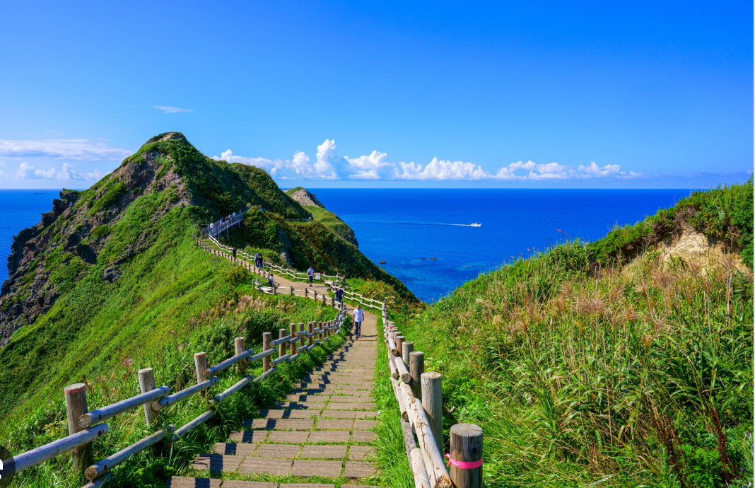 Top or Best Brochure Design Agencies in Sapporo, Japan