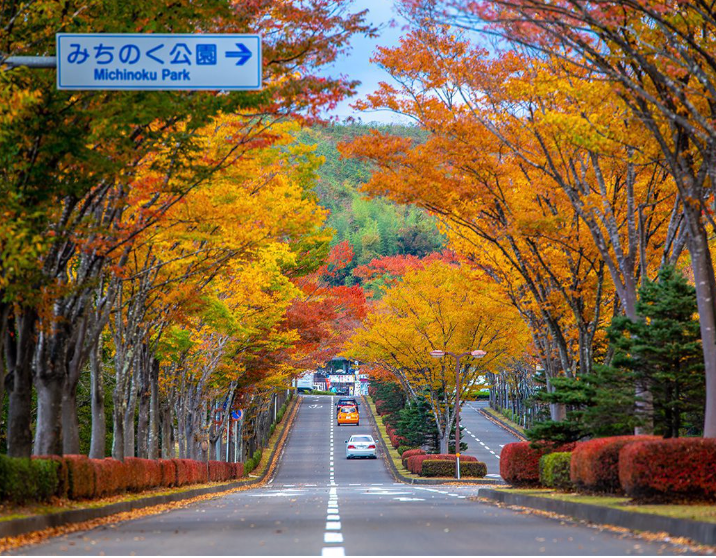 Top or Best Brand Identity Package Agencies and Companies in Sendai, Japan