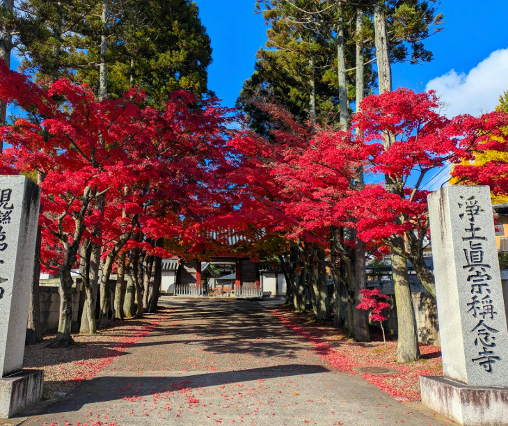Top or Best Banner Ads Agencies and Companies in Sendai, Japan