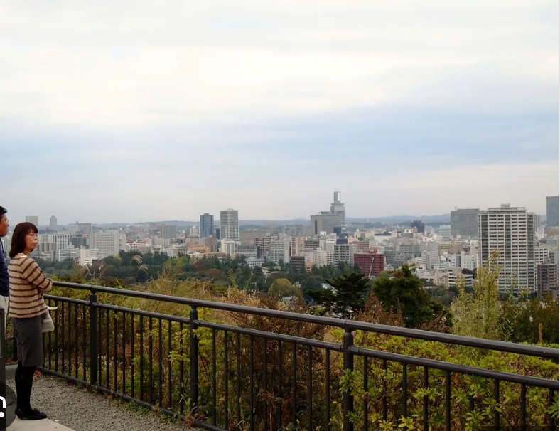 Top or Best Catalog Design Agencies in Sendai, Japan