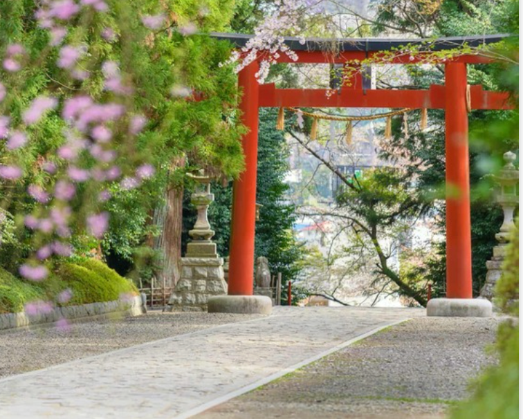 Top or Best Graphics for Streamers Agencies in Sendai, Japan