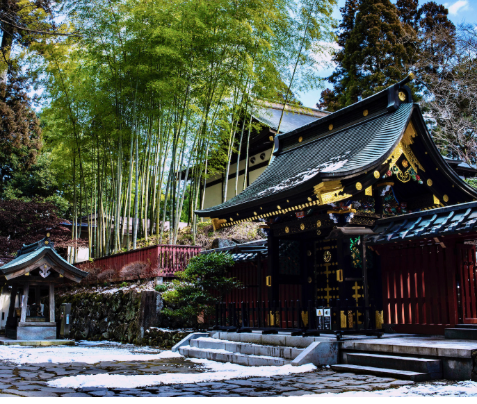 Top or Best TikTok Management Agencies in Sendai, Japan