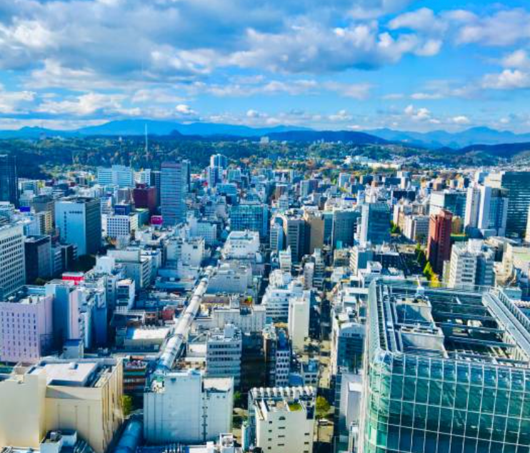 Top or Best Packaging Design Agencies and Companies in Sendai, Japan