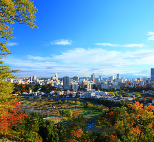 Top or Best T-Shirt & Merchandise Design Agencies and Companies in Sendai, Japan