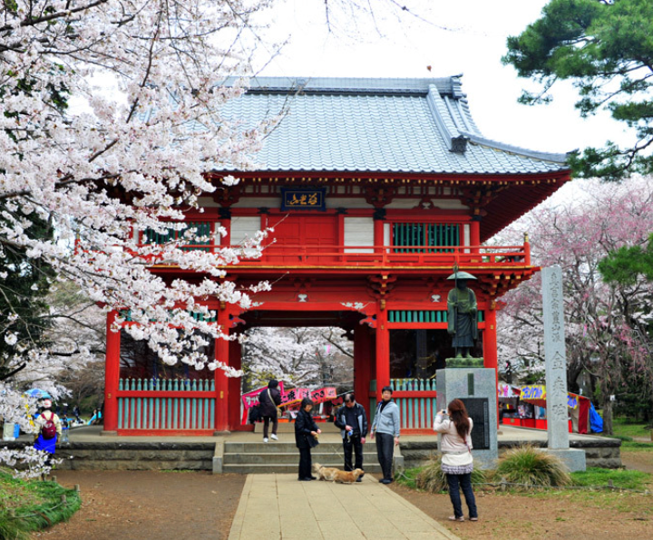 Top or Best Logo Design Agencies and Companies in Chiba, Japan