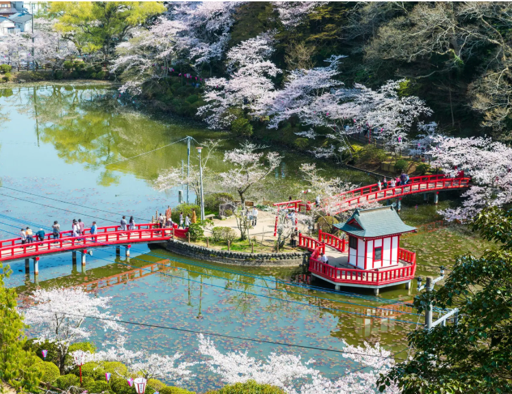 Top or Best Logo Animation Agencies and Companies in Chiba, Japan