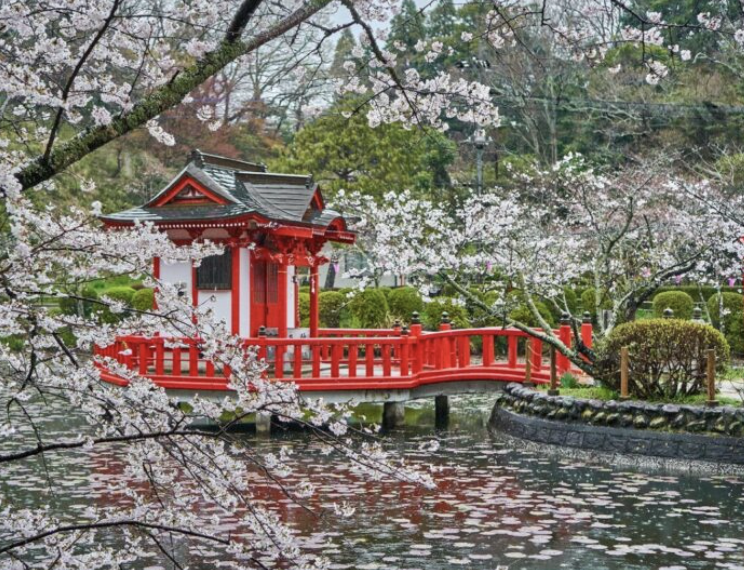 Top or Best App UI/UX Design Agencies and Companies in Chiba, Japan