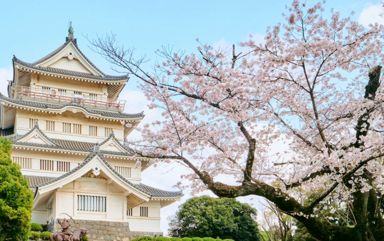 Top or Best Poster Design Agencies and Companies in Chiba, Japan