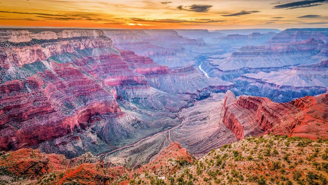 Top or Best NFT Art Agencies and Companies in Buckeye, Arizona