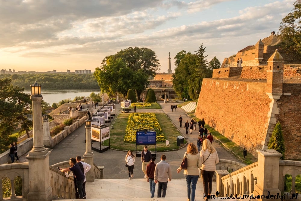 Top Animation and Motion Graphics Agencies in Serbia