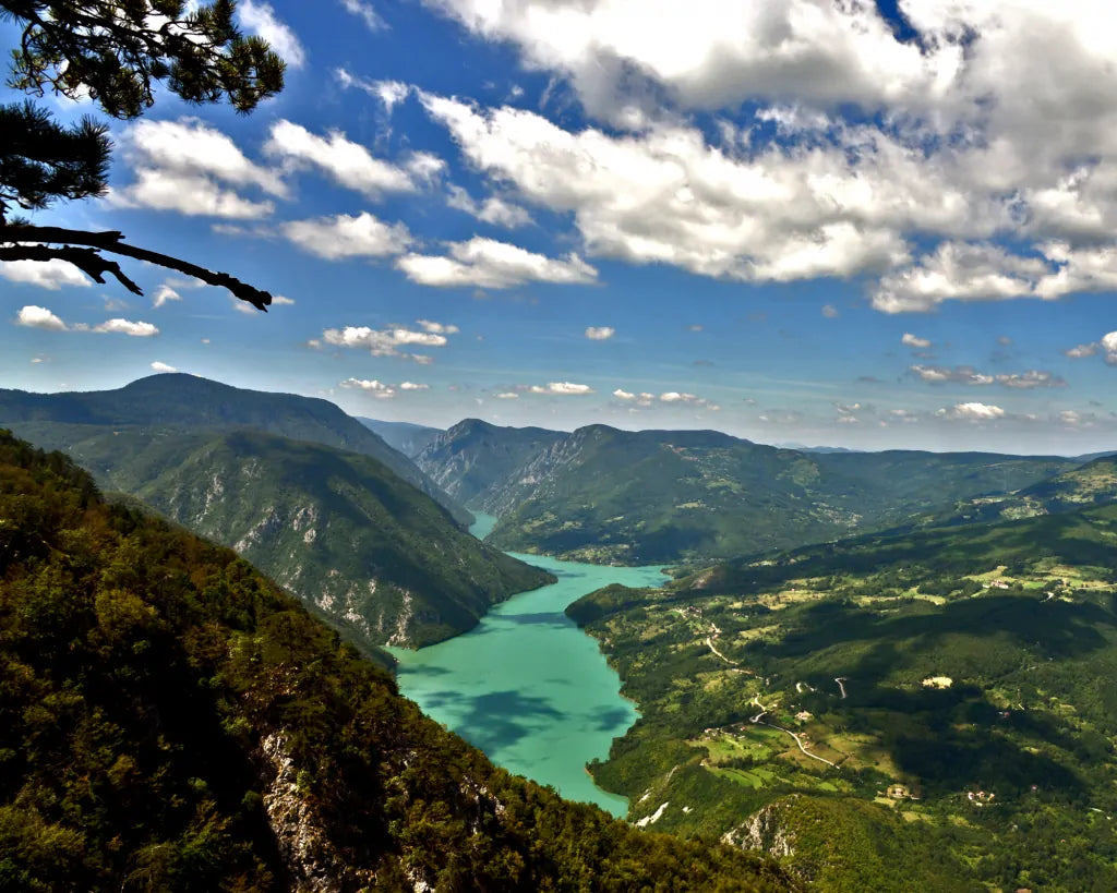 Top Flyer Design Agencies in Serbia