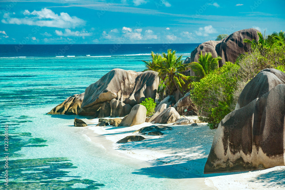 Top Brand Identity Packages Agencies in Seychelles