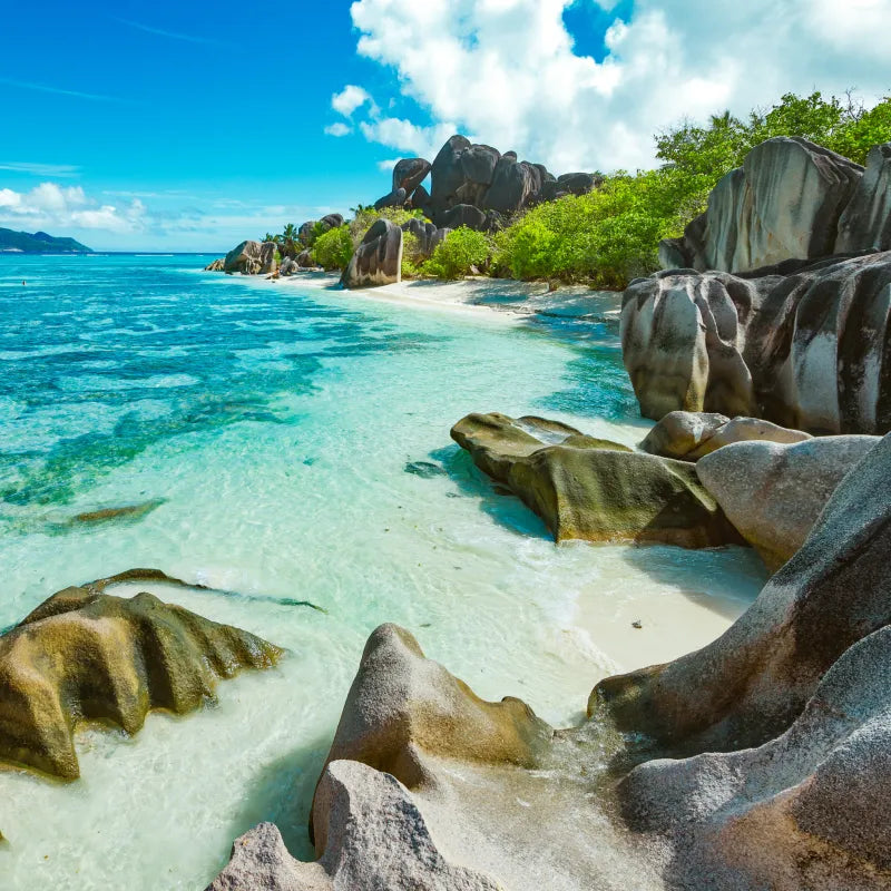 Top Brochure Design Agencies in Seychelles