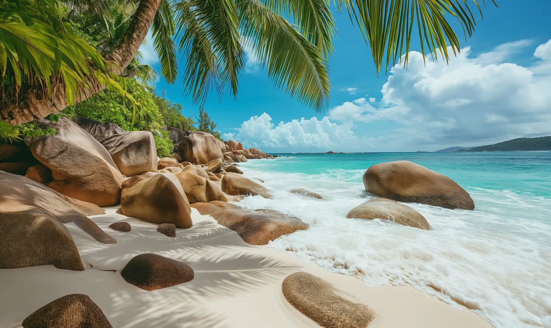 Top Web and Mobile Design Agencies in Seychelles