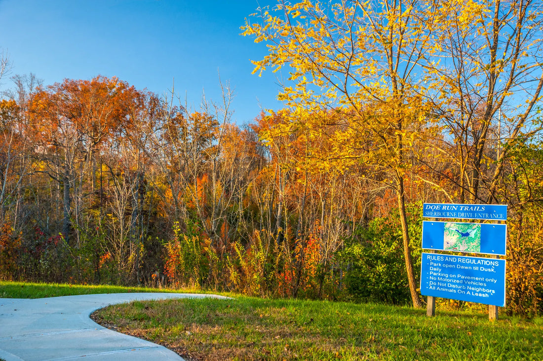Top or Best TikTok Management Agencies and Companies in Erlanger, Kentucky