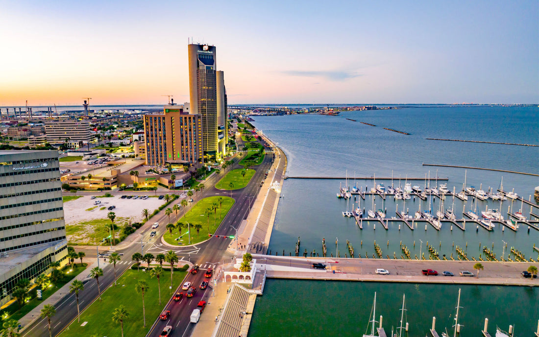 Top or Best Poster Design Agencies and Companies in Corpus Christi, Texas