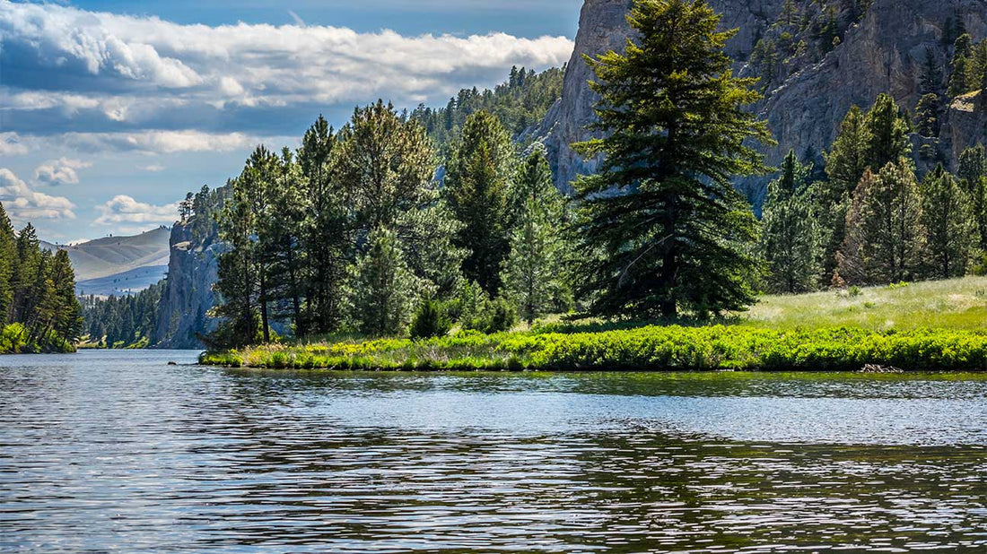 Top or Best Social Media Design Agencies and Companies in Sidney, Montana