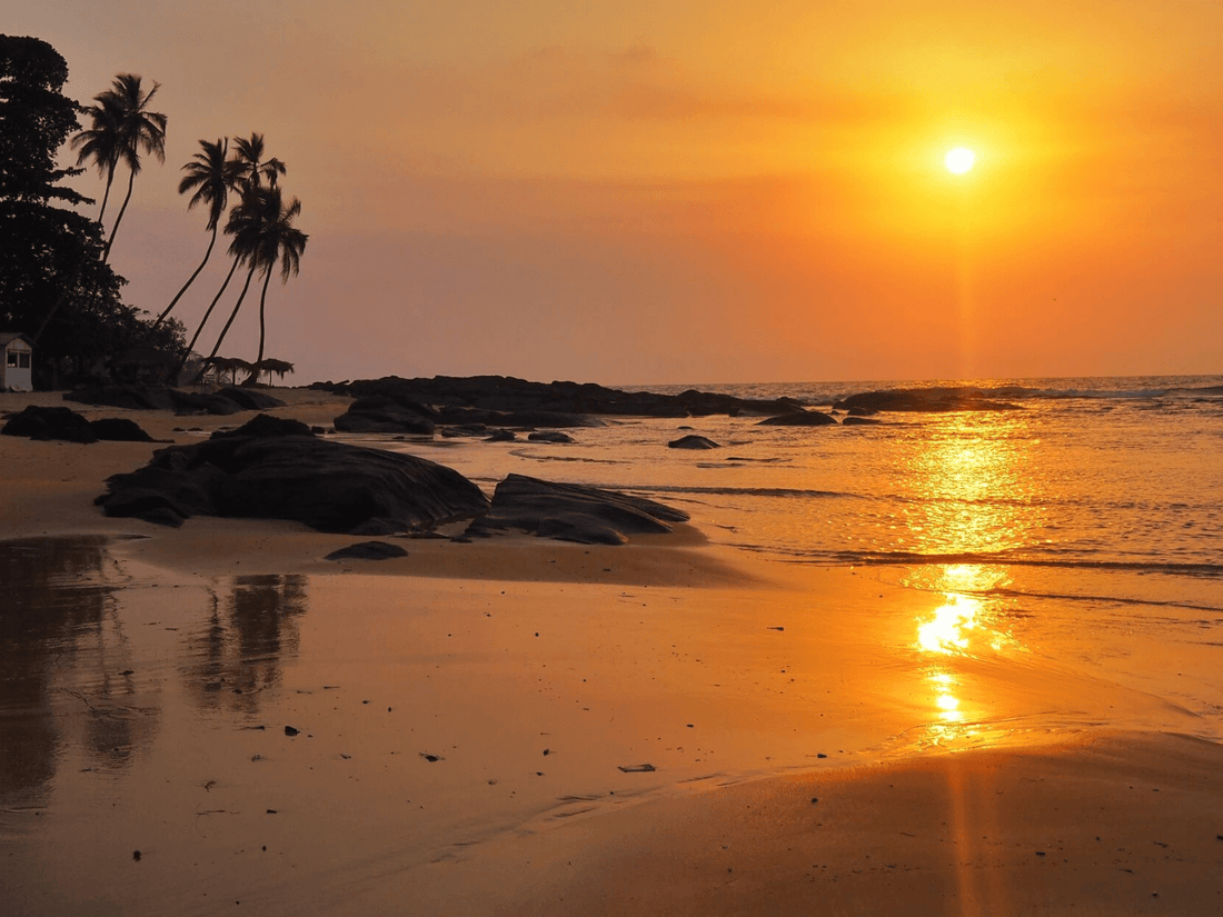 Top 5 Tattoo Design Agencies in Sierra Leone