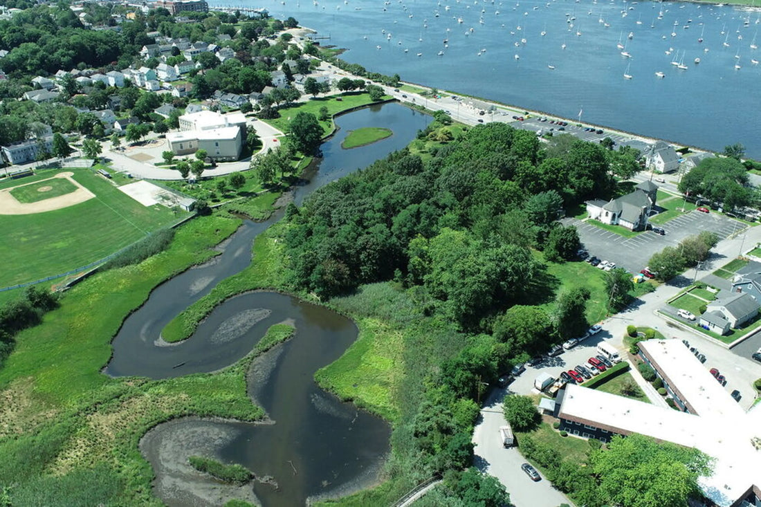 Top or Best Social Media Management Agencies and Companies in Bristol, Rhode Island