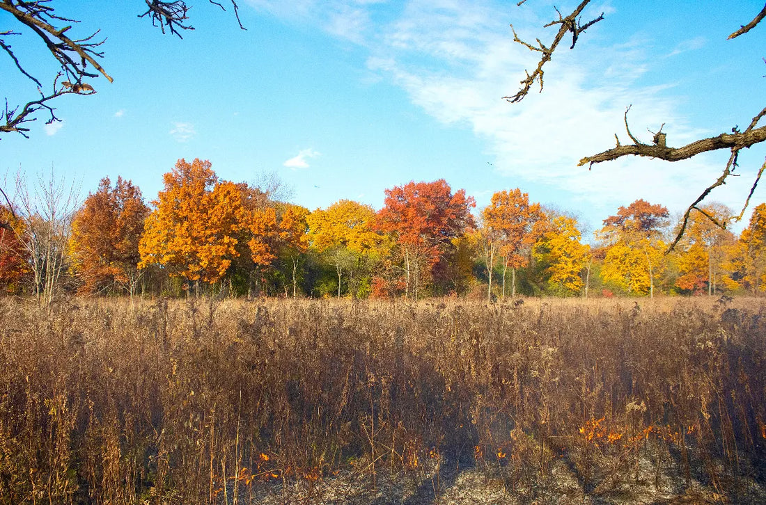 Top or Best Catalog Design Agencies and Companies in Waukegan, Illinois