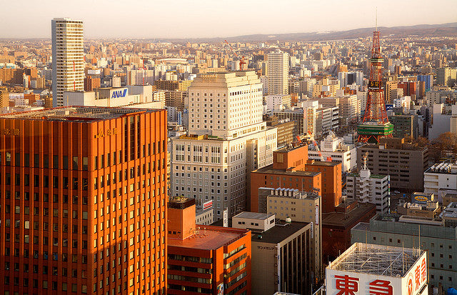 Top or Best Infographic Design Agencies and Companies in Sapporo, Japan