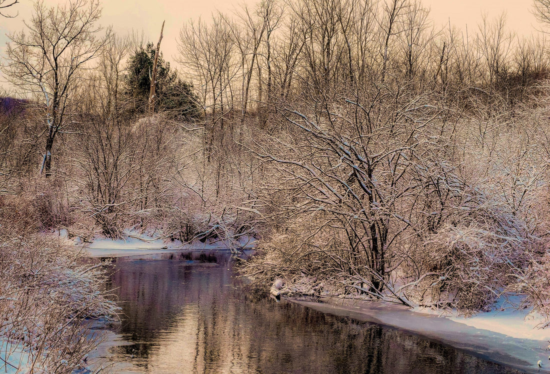 Top or Best Catalog Design Agencies and Companies in Bennington, Vermont