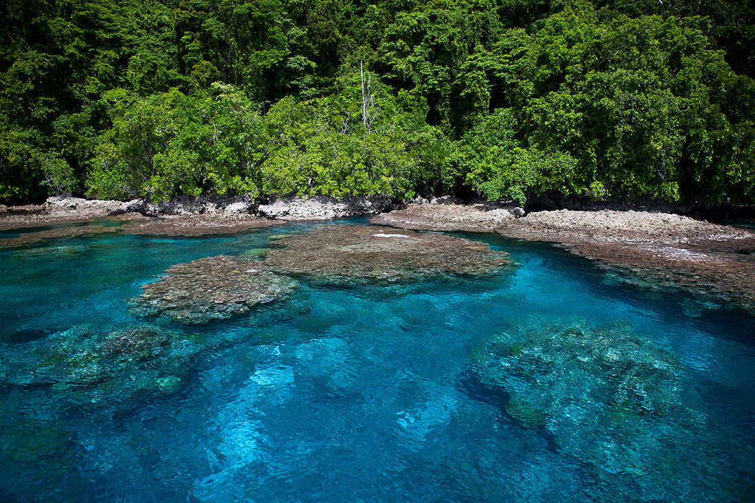 Top or Best Influencer Brand Partnership Agencies and Companies in Solomon Islands