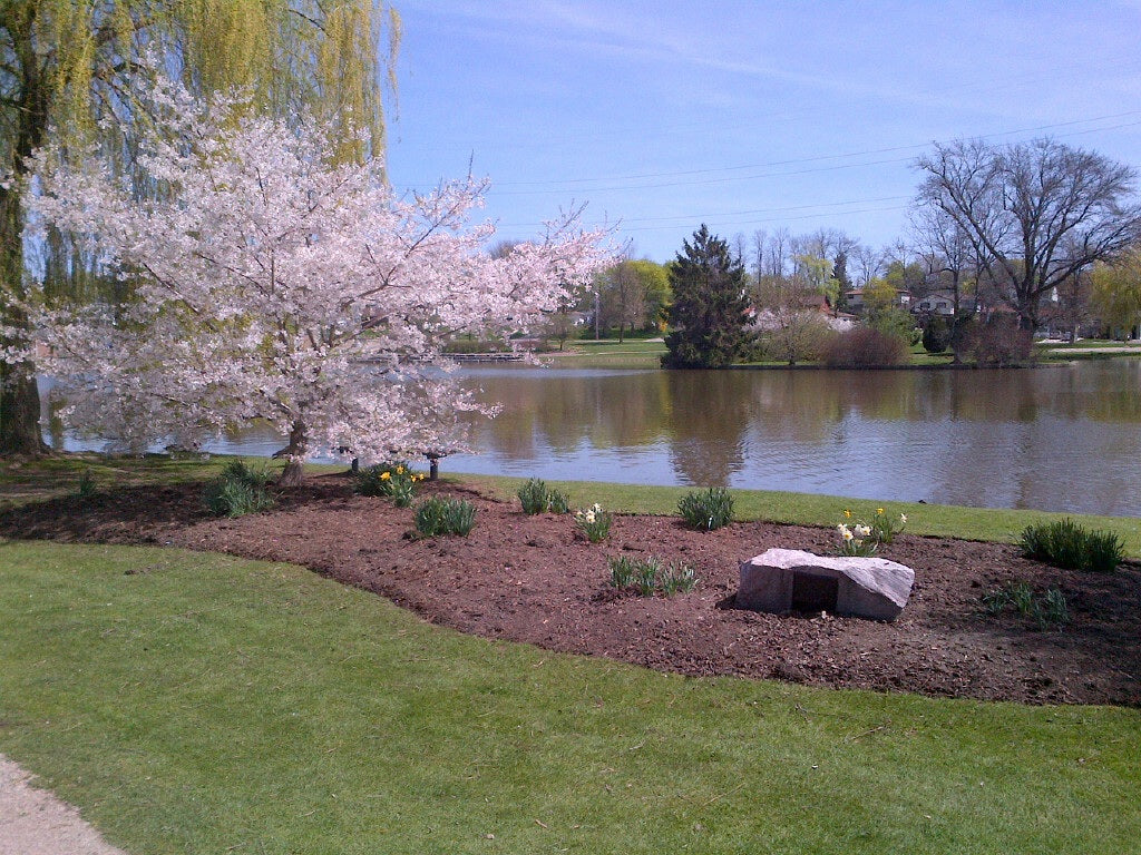 Top or Best Portraits and Caricatures Agencies and Companies in Malden, Massachusetts