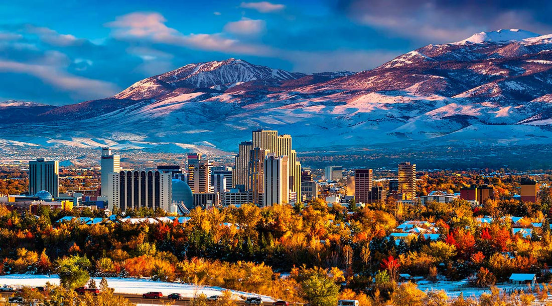 Top or Best Banner Ad Design Agencies and Companies in Spanish Springs, Nevada