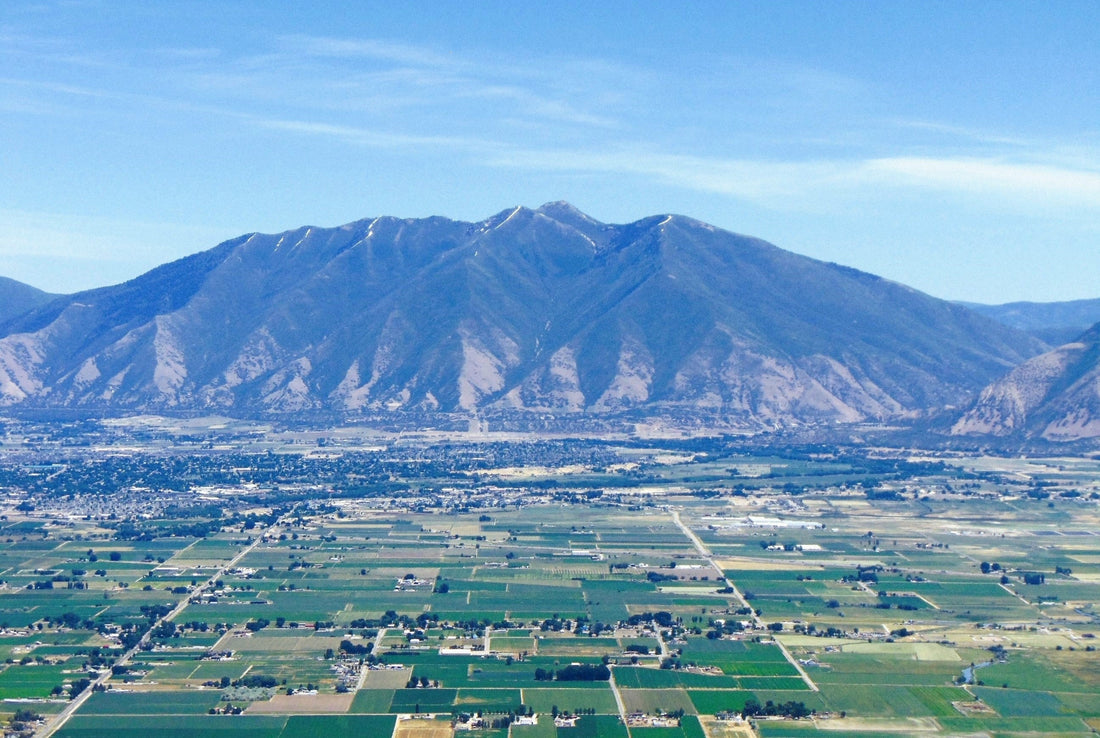 Top or Best Social Media Management Agencies and Companies in Spanish Fork, Utah