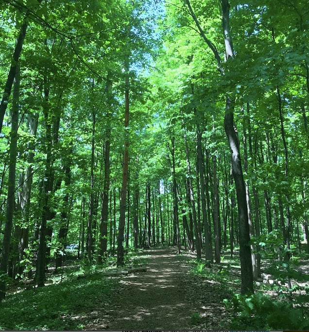 Top or Best TikTok Management Agencies and Companies in Essex, Vermont