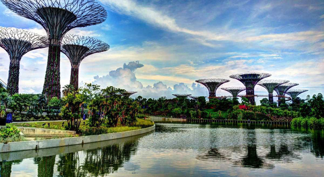 Top Flyer Design Agencies in Singapore