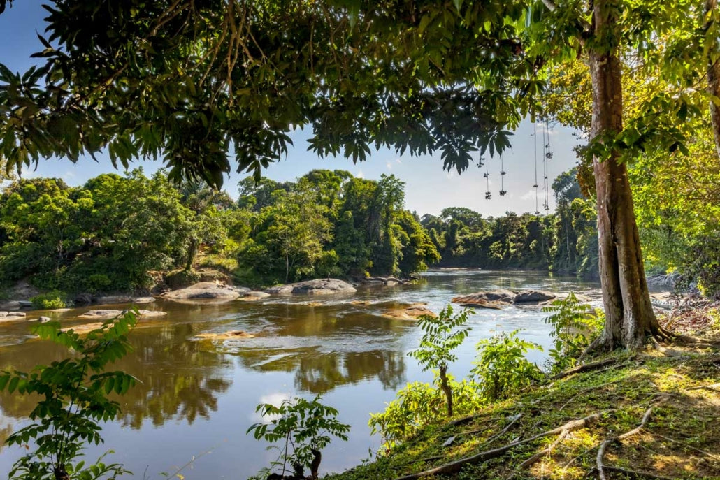 Top or Best Influencer Brand Partnership Agencies and Companies in Suriname