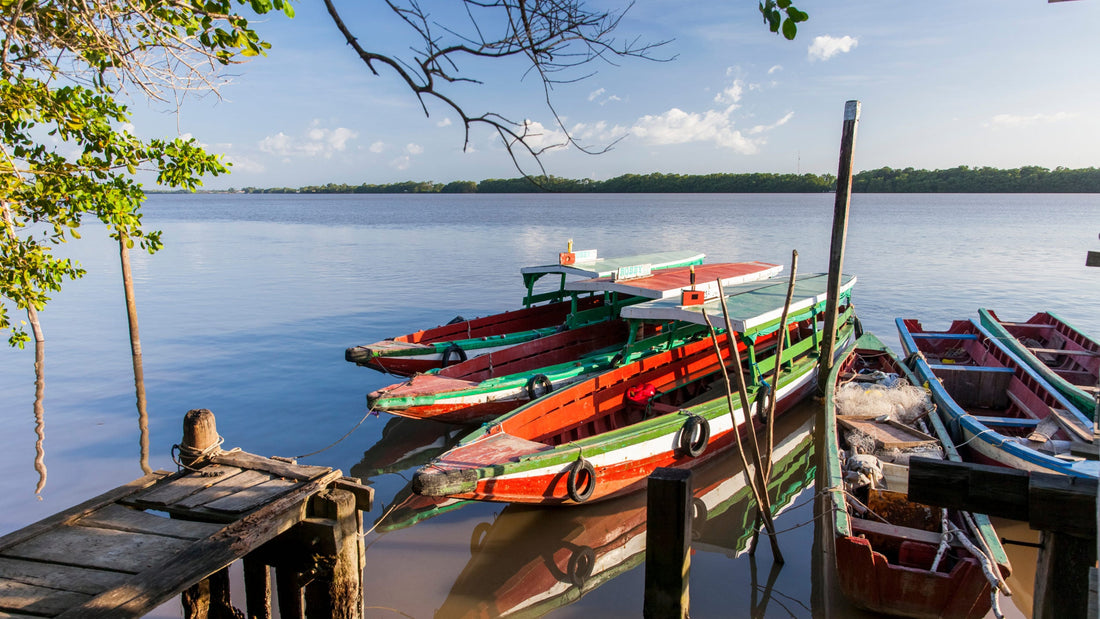 Top or Best Athlete Brand Partnership Agencies and Companies in Suriname