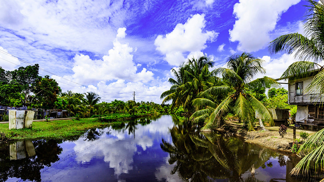 Top or Best Influencer Agency for Surinamese Influencers