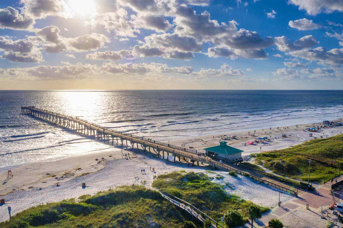 Top or Best NFT Art Agencies and Companies in Jacksonville, Florida