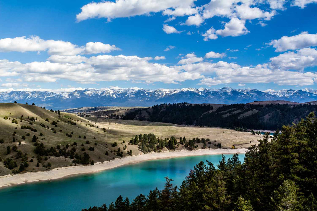 Top or Best Infographic Design Agencies and Companies in Lockwood, Montana