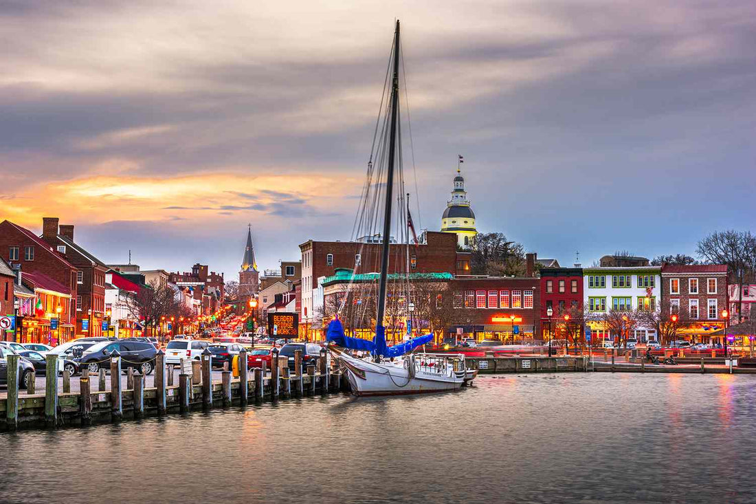 Best App UI/UX Design Agencies in Maryland