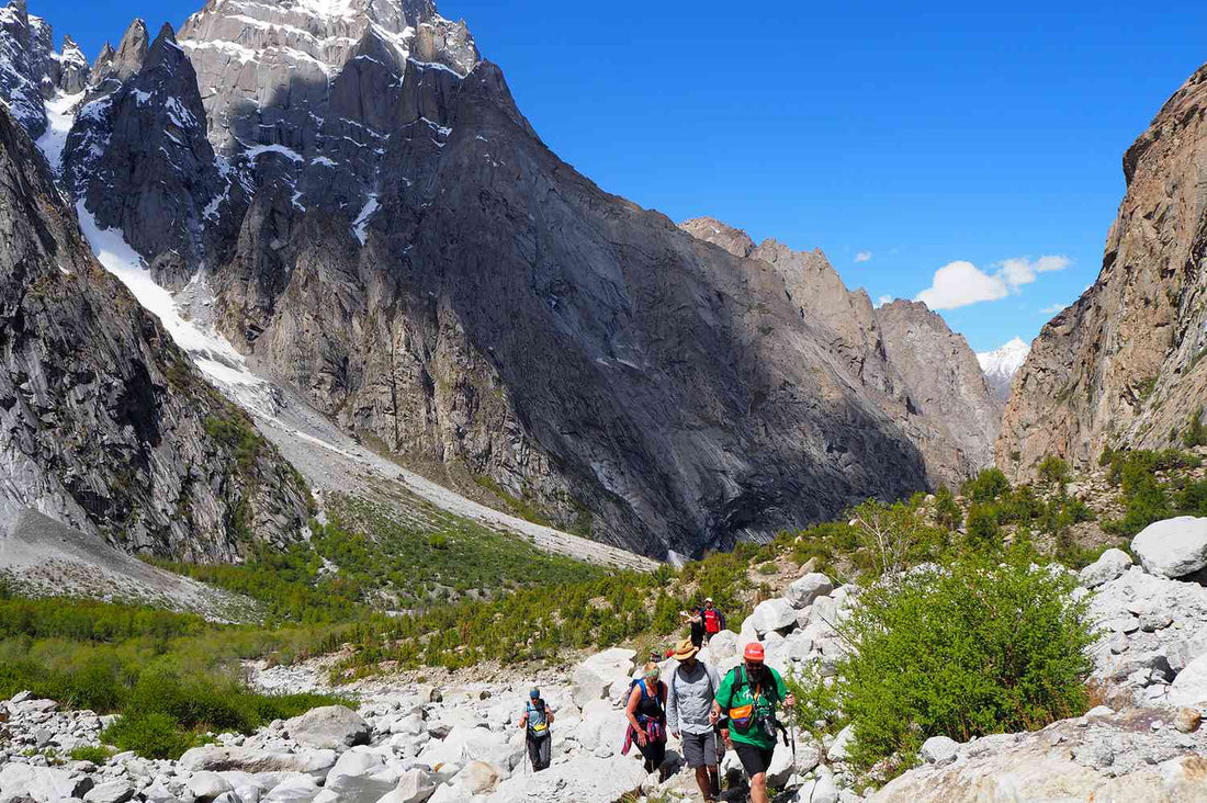 Top or Best Influencer Agency for Pakistani Brands