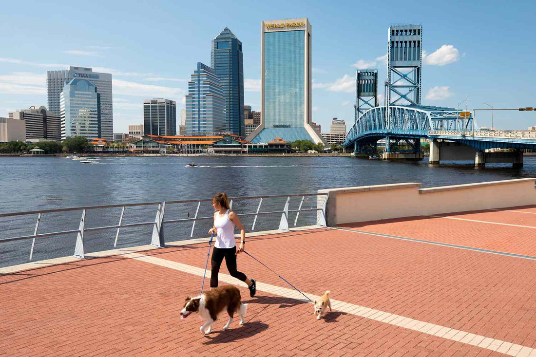 Top or Best Presentation Design Agencies and Companies in Jacksonville, Florida