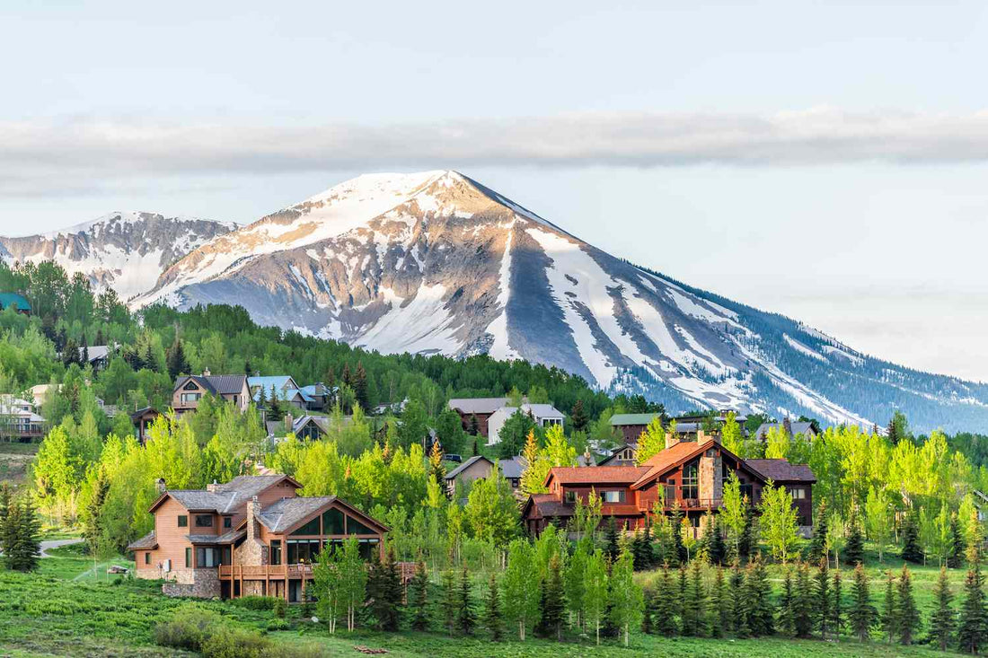 Top or Best Athlete Management Agencies and Companies in Colorado