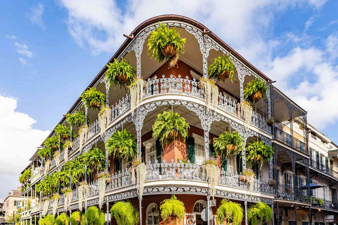 Top or Best Influencer Brand Partnership Agencies and Companies in New Orleans, LA