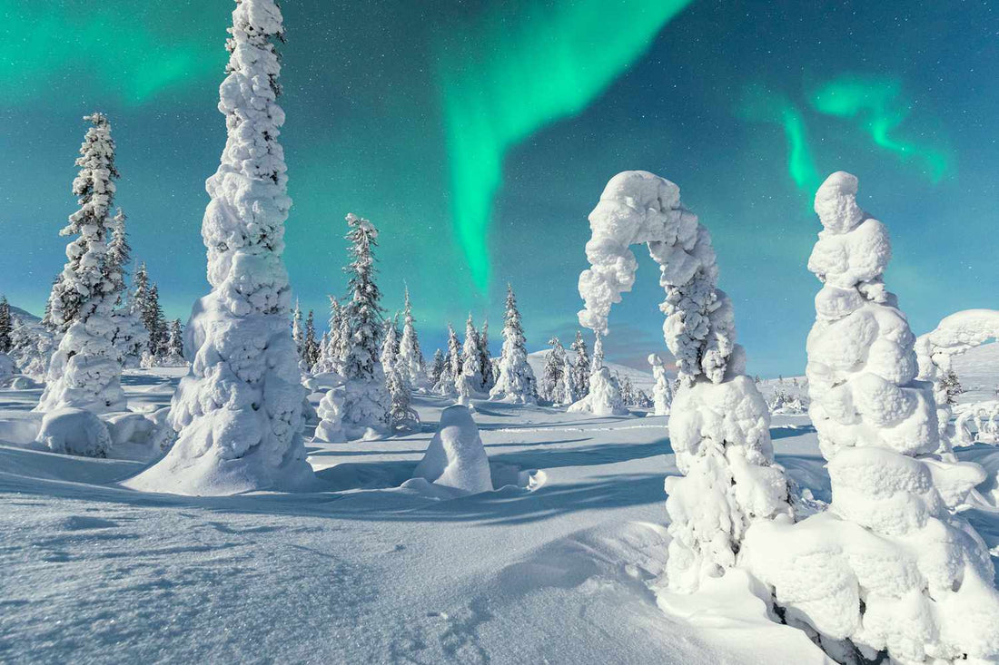 Top 5 Mural Design Agencies in Finland