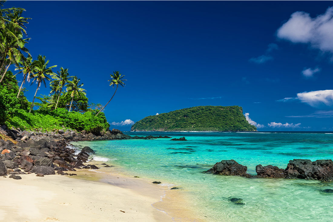 Best Facebook Management Companies in Samoa