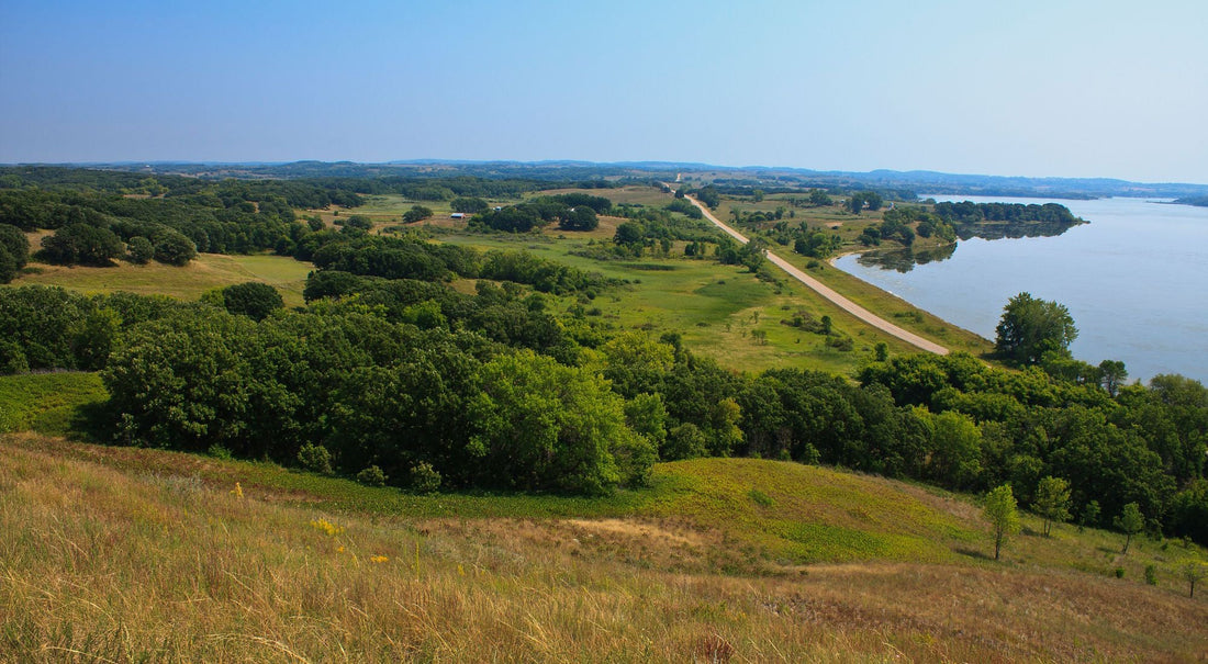 Top or Best Mural Design Agencies and Companies in Midwest City, Oklahoma