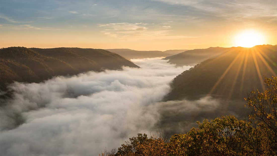 Top or Best Banner Ad Design Agencies and Companies in Teays Valley, West Virginia