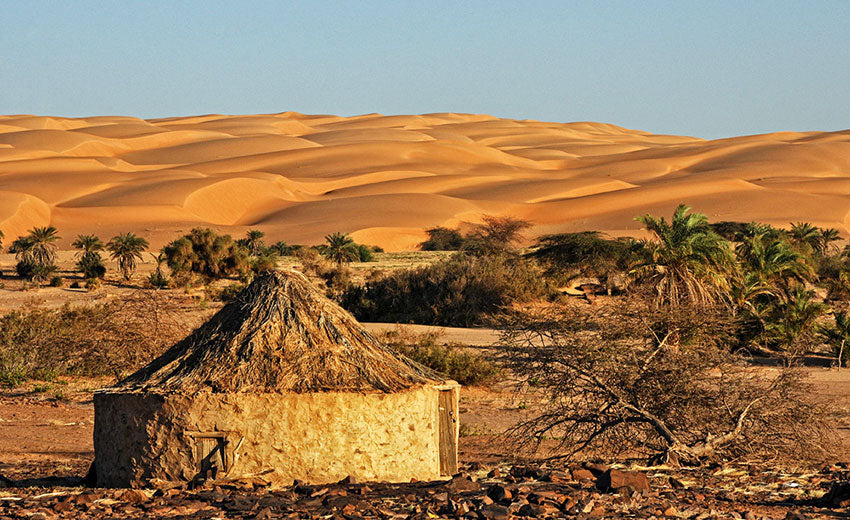 Top or Best Talent Management Agencies and Companies in Mauritania