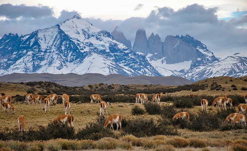 Top or Best Influencer Brand Partnership Agencies and Companies in Chile
